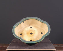 Lade das Bild in den Galerie-Viewer, Koyo-Schalen-Bonsai Gilde