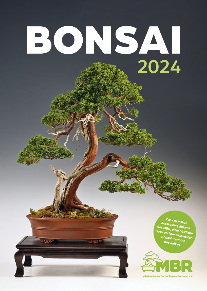 Restposten: Bonsai-Kalender 2024