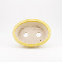 Lade das Bild in den Galerie-Viewer, Bonsaischale tk-bonsaipots - oval, gelb