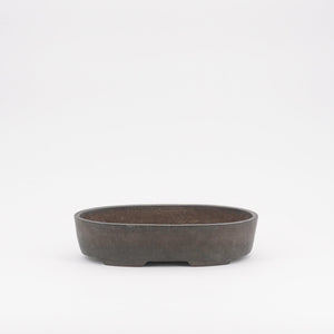 Antike chinesische Schale "nakawatari"-Schalen-Bonsai Gilde
