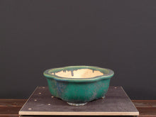 Lade das Bild in den Galerie-Viewer, Koyo-Schalen-Bonsai Gilde
