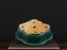 Lade das Bild in den Galerie-Viewer, Koyo-Schalen-Bonsai Gilde