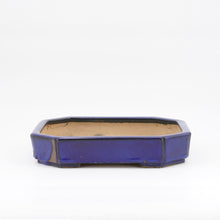Lade das Bild in den Galerie-Viewer, Hattori
