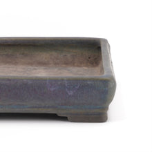 Lade das Bild in den Galerie-Viewer, Tosui
