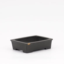 Lade das Bild in den Galerie-Viewer, Kinokawa Shuseki
