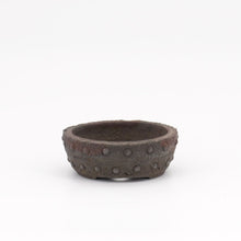 Lade das Bild in den Galerie-Viewer, Yamaaki - Akitsugu Kataoka

