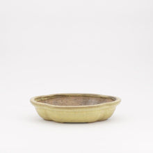 Lade das Bild in den Galerie-Viewer, Hattori
