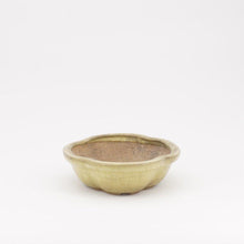 Lade das Bild in den Galerie-Viewer, Hattori
