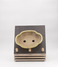 Lade das Bild in den Galerie-Viewer, Hattori
