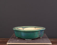 Lade das Bild in den Galerie-Viewer, Koyo
