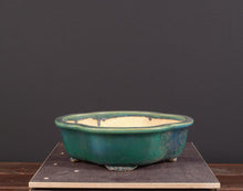 Lade das Bild in den Galerie-Viewer, Koyo
