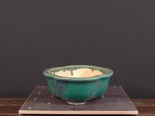 Lade das Bild in den Galerie-Viewer, Koyo
