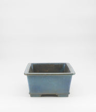 Lade das Bild in den Galerie-Viewer, Koyo
