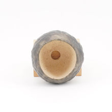Lade das Bild in den Galerie-Viewer, Carlos Hebeisen-Takahama Nr. 103

