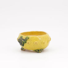 Lade das Bild in den Galerie-Viewer, Masahi Furumoto
