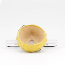 Lade das Bild in den Galerie-Viewer, Masahi Furumoto
