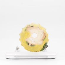 Lade das Bild in den Galerie-Viewer, Masahi Furumoto

