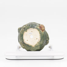 Lade das Bild in den Galerie-Viewer, Masahi Furumoto
