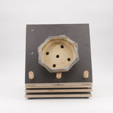 Lade das Bild in den Galerie-Viewer, Shuho
