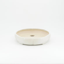Lade das Bild in den Galerie-Viewer, tk-bonsaipots - oval/mokko, weiß
