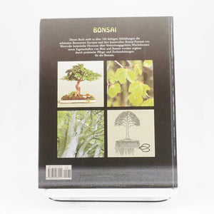 Buch: Bonsai