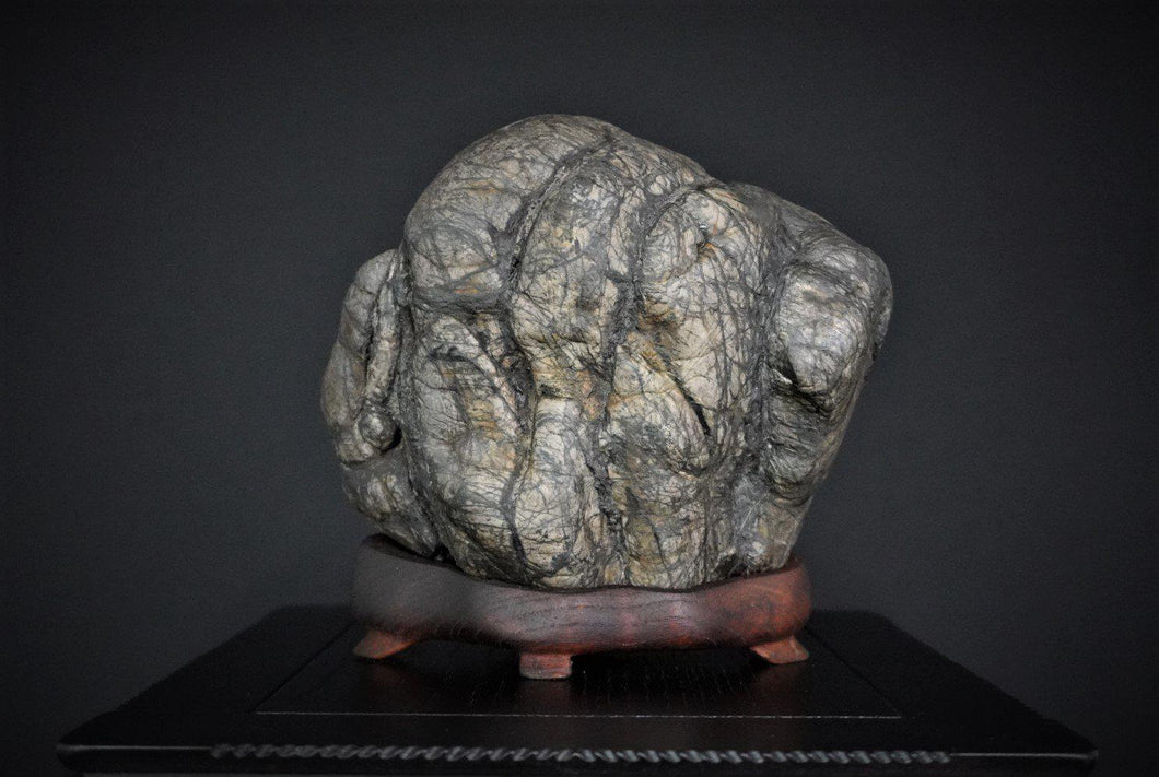 Suiseki Nr. 20-Bonsai Gilde